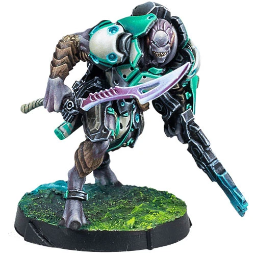 Infinity: NA2 - Chaksa Longarms 4 Infinity: NA2 - Chaksa Longarms - Image 2